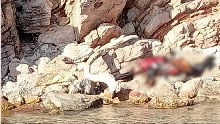 Muğla'da cesetle karşılaştılar