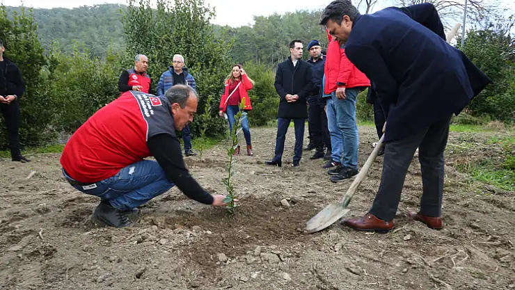 Muğla'da 'Karya'nın Hazinesi Defne' Bahçeleri Kuruluyor