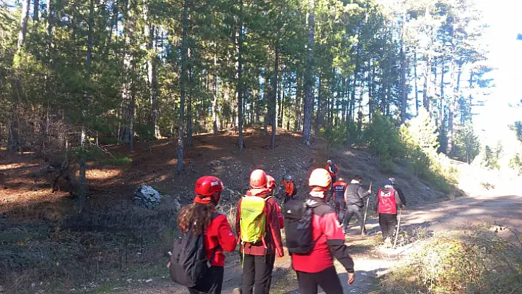 Muğla'da Mantar Toplarken Kaybolan Yaşlı Kadın Her Yerde Aranıyor