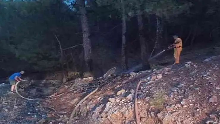 Muğla'da orman yangını