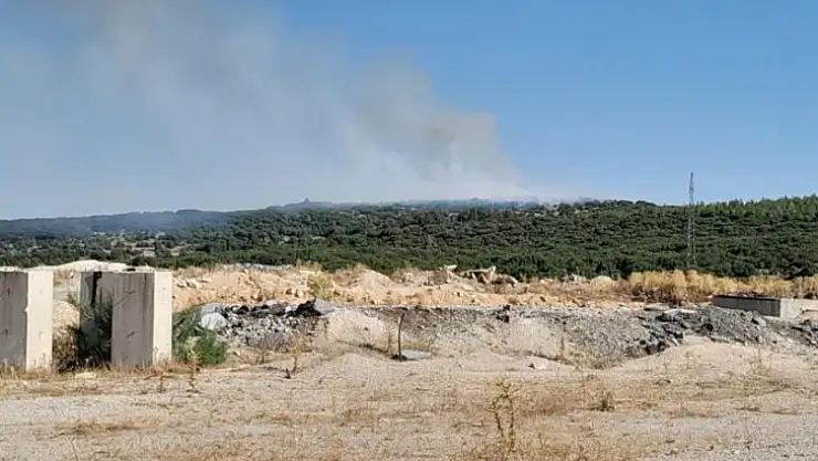 Muğla'da orman yangını