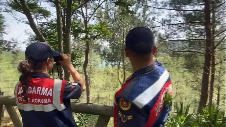 Muğla'da orman yangınlarına karşı önlemler arttırıldı