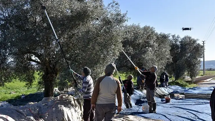 Muğla'nın tarımsal değeri 10 milyar tl