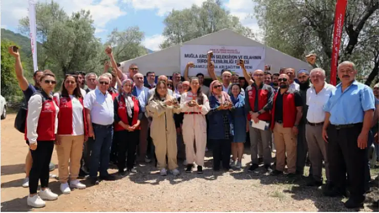 Muğlalı arıcılara damızlık ana arı dağıtımı