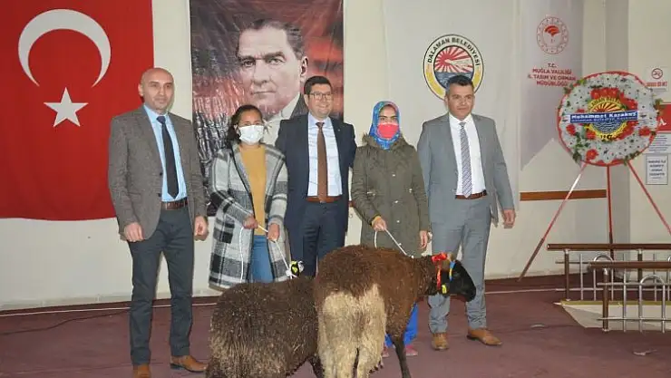 Muğlalı kadın üreticilere küçükbaş hayvan desteği