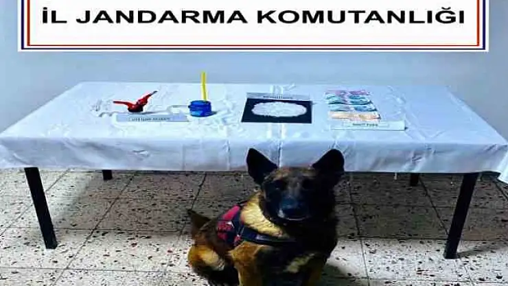 NARKOTİK KÖPEK 'KONT' DESTEKLİ UYUŞTURUCU OPERASYONU