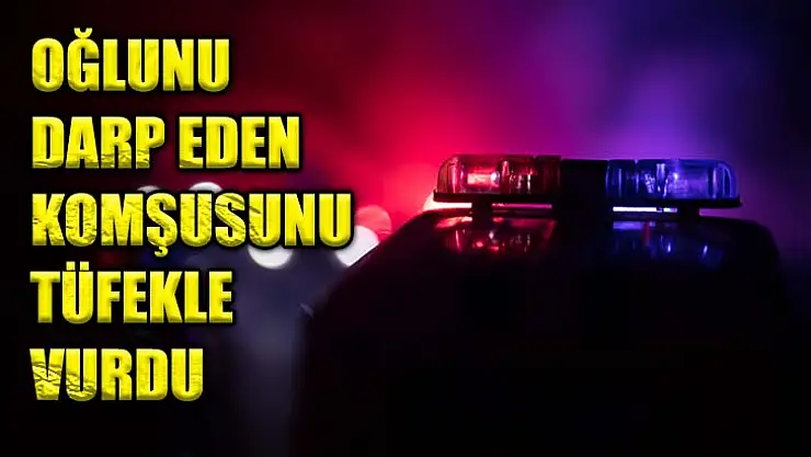 Oğlunu Darp Eden Komşusunu Tüfekle Vurdu