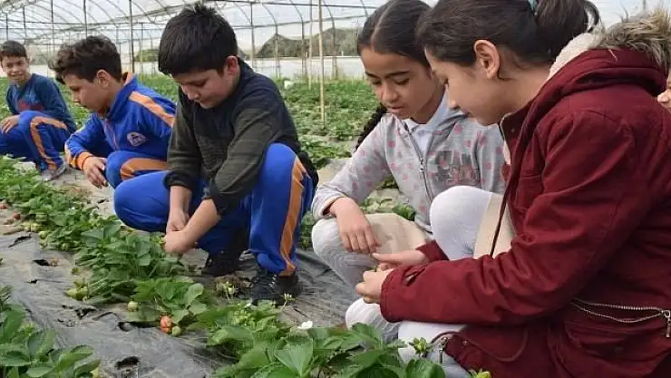 Okul çağı çocukları doğa ile buluştu