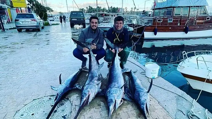 Oltaya takılan dev balık balıkçıları şaşırttı