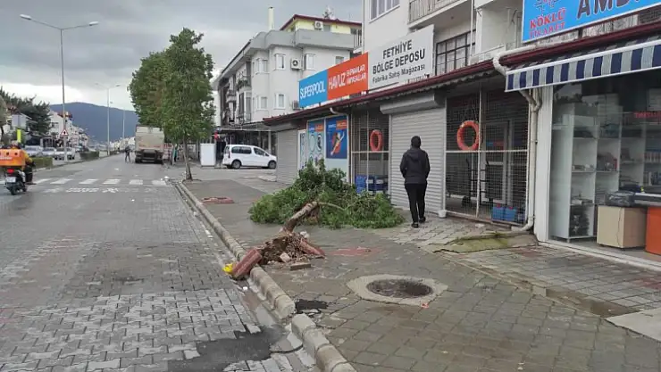 Ölüdeniz'de dalga boyu 3 metreyi aştı