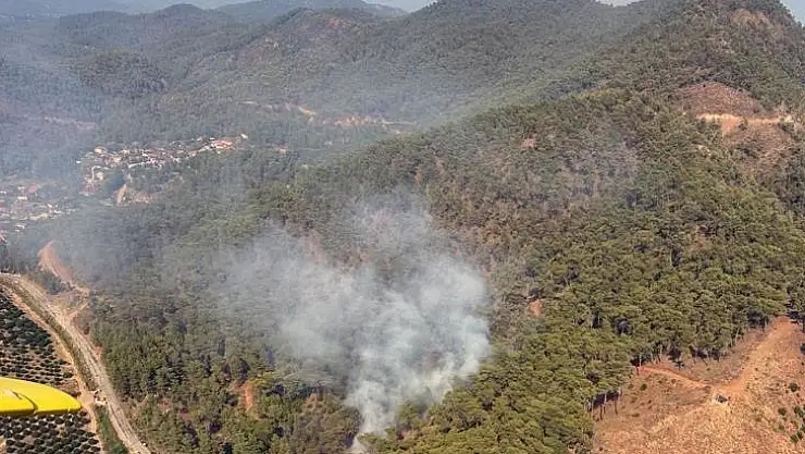 Orman yangını büyümeden söndürüldü