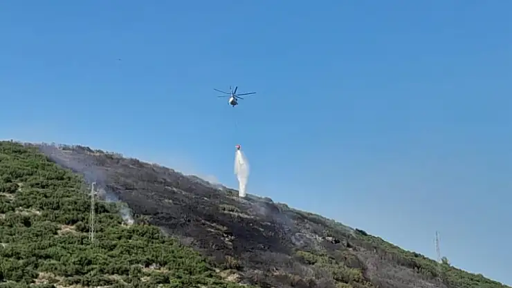 Orman yangını kontrol altına alındı