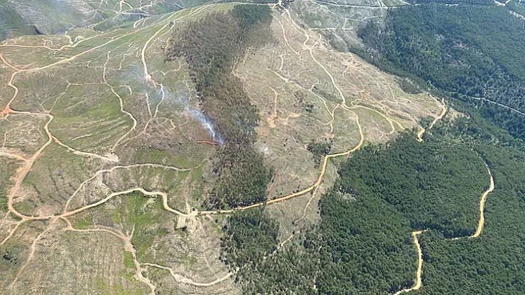 Orman Yangını Kontrol Altına Alındı