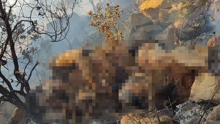 Orman yangınında bulunan ceset Belçika vatandaşı çıktı