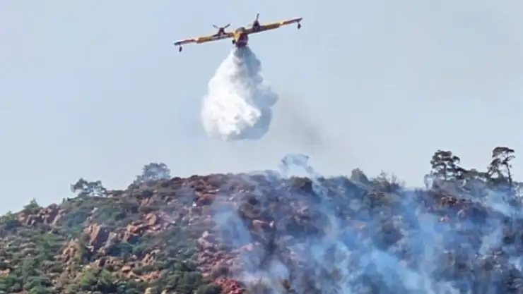 Orman yangınıyla ilgili 1 kişi gözaltına alındı