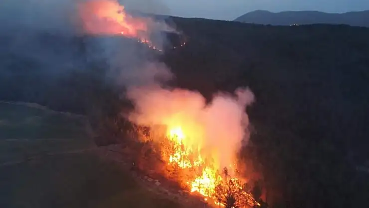 Orman yangınları kontrol altına alındı