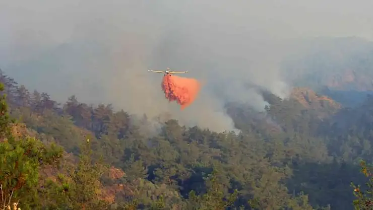 Orman yangınları yerli ve milli köpükle sönüyor