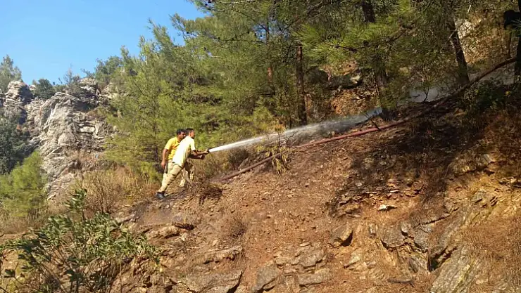 ORMANLIK ALANDA ÇIKAN YANGIN AĞAÇLARA SIÇRAMADAN SÖNDÜRÜLDÜ