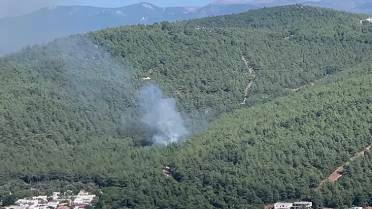 Bodrum Güvercinlik'te orman yangını