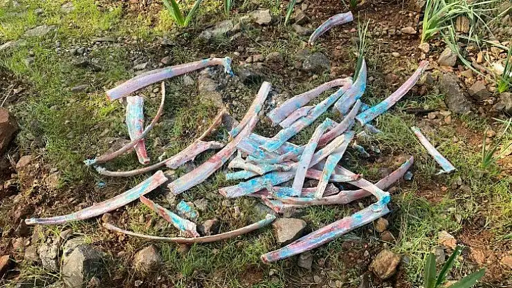 Ormanlık alanda zehirli kemikler bulundu