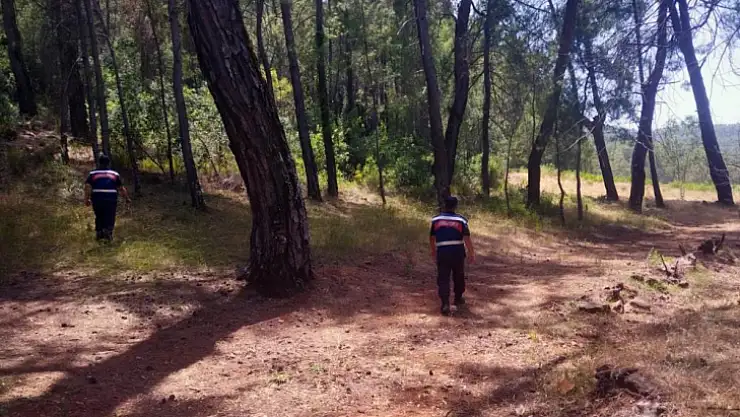 Ormanlık alanlarda devriye görevini sürdürüyor