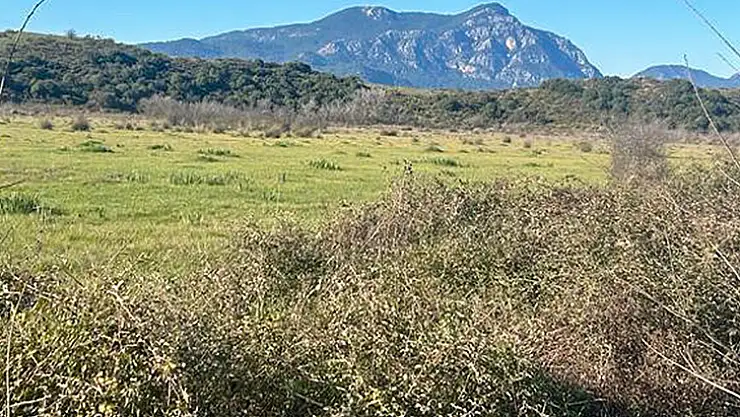 Ortaca'da Meralar Denetim Altında