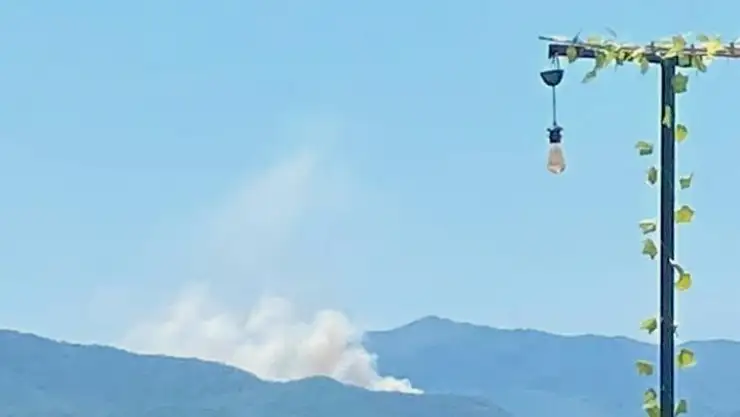 Ortaca'da orman yangını