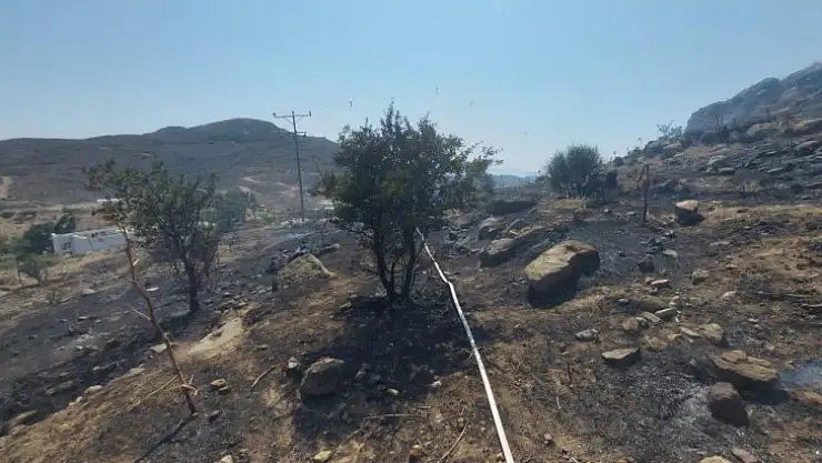 Otluk Ve Makilik Alanda Yangını