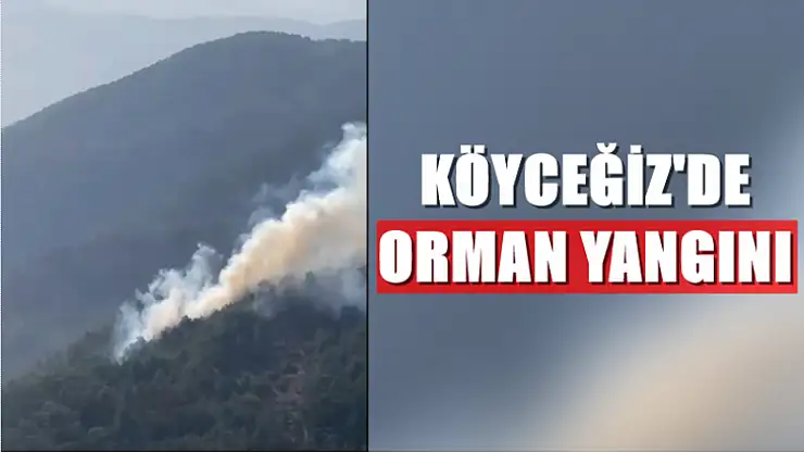 Otmanlar'da orman yangını