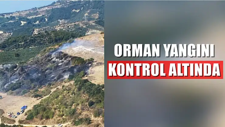 Otmanlar yangını kontrol altında