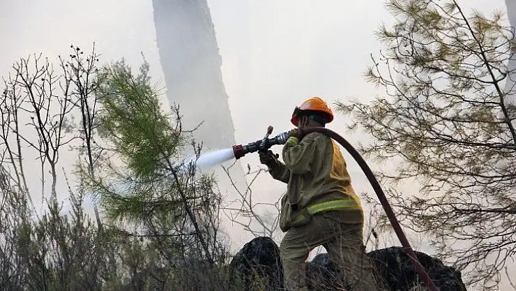 Pandemi döneminde 813 hektar alan yandı