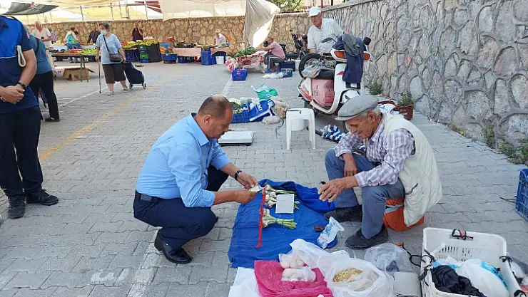 Pazarda Üretici Denetimi