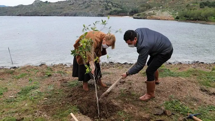 Sahillerde ağaçlandırma çalışması gerçekleştiriliyor