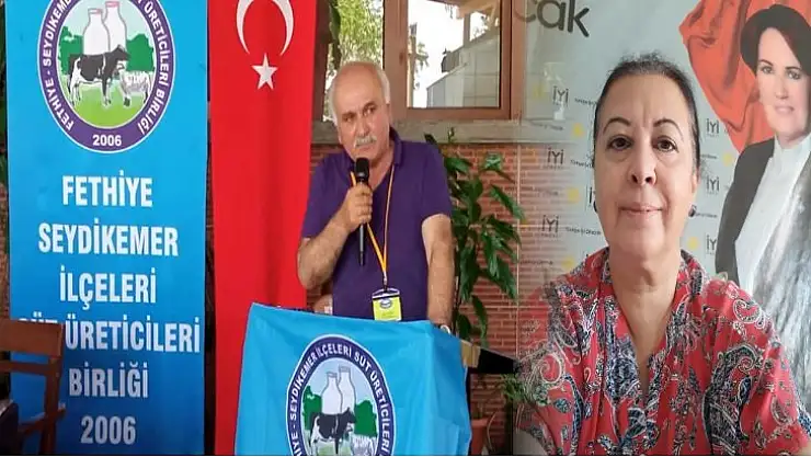 'Sanayide elektrik kesintisi çiğ süt üreticisini vuracak'