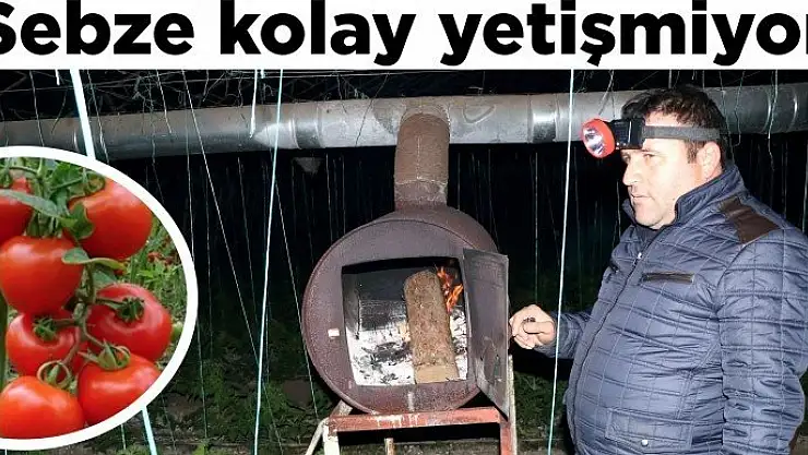 'Sebze kolay yetişmiyor'