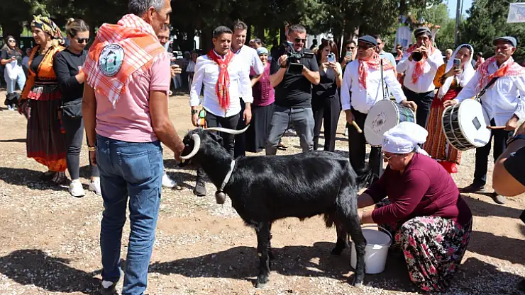 Şenlik Konser ve Etkinliklerle Devam Ediyor