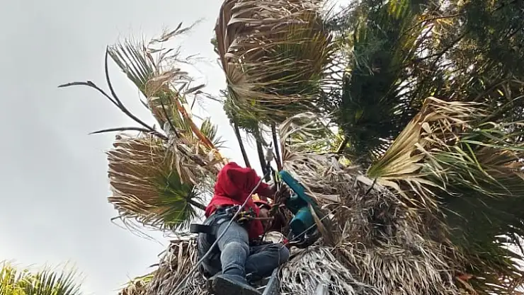 Sevimli dostu AKUT kurtardı