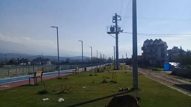 Seydikemer Belediyesi sokak hayvanlarını unutmadı