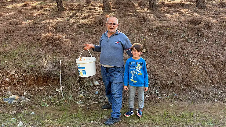 Seydikemer Çobanisa'da Çıntar Bereketi