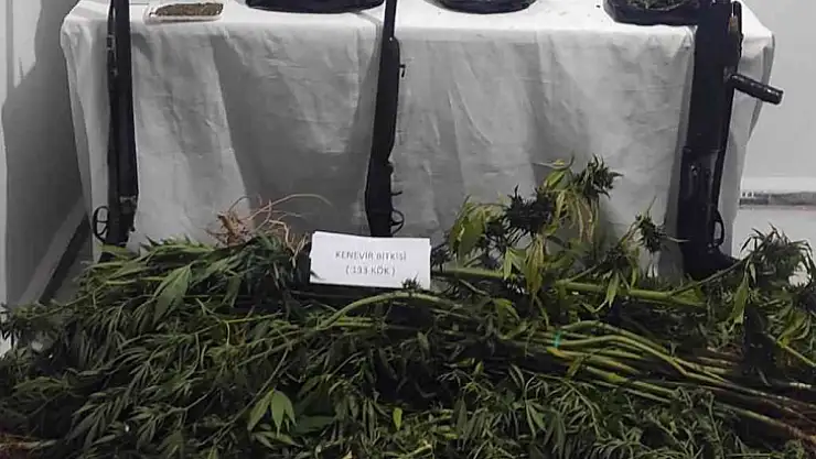 SEYDİKEMER'DE KENEVİR OPERASYONU