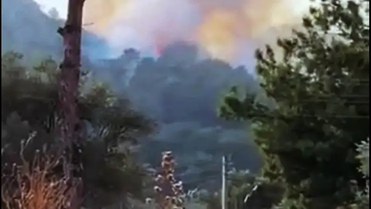 Seydikemer'de orman yangını başladı