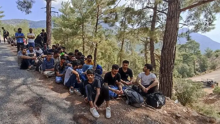 Seydikemer'de ormanlık alanda 89 düzensiz göçmen yakalandı