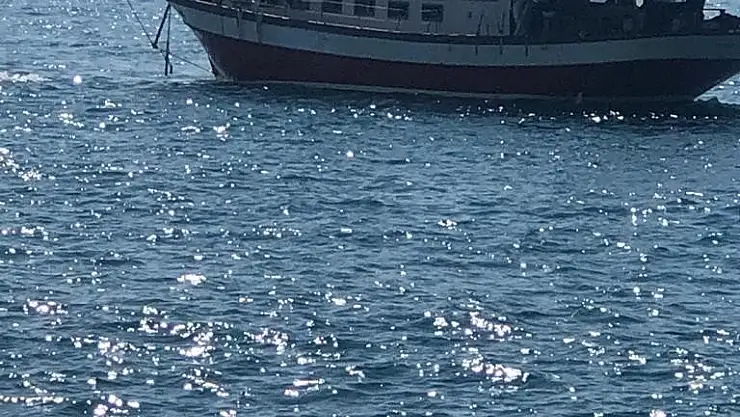 SEYDİKEMER'DE 96 DÜZENSİZ GÖÇMEN YAKALANDI