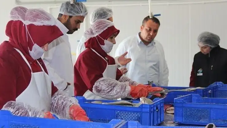 Seydikemer'de balık işleme tesisleri denetlendi
