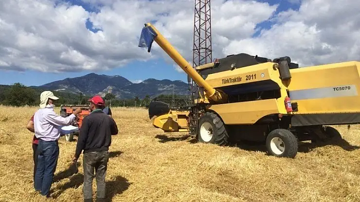 Seydikemer'de Başlayan Hububat Hasadında Dane Kaybını Önlemek Amacıyla İlçe Tarım ve Orman Müdürlüğü Personellerince Biçer Döver Kontrolleri Devam Ediyor