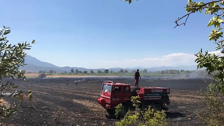 Seydikemerde'ki anız yangınında koyunlarda telef oldu