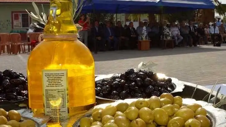 SEYDİKEMER'DE ZEYTİN HASAT ŞENLİĞİ İLKİ YAPILDI