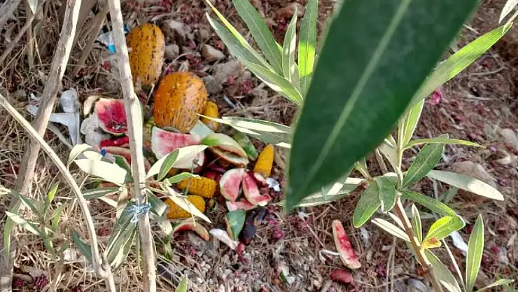 Sigara İzmariti Kötü Görüntüye Sebep Oluyor