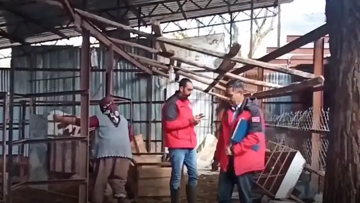 SIĞIR CİNSİ HAYVANLAR KAYIT ALTINA ALINIYOR 