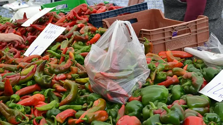 SOĞUK BİTMEDİ SEBZE FİYATI DÜŞMEDİ